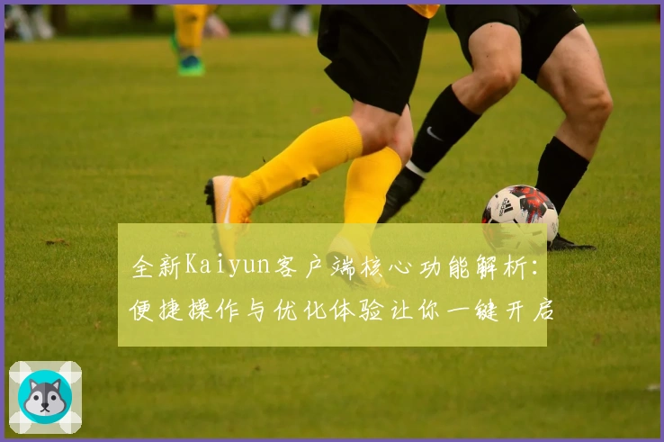 全新Kaiyun客户端核心功能解析：便捷操作与优化体验让你一键开启高效生活